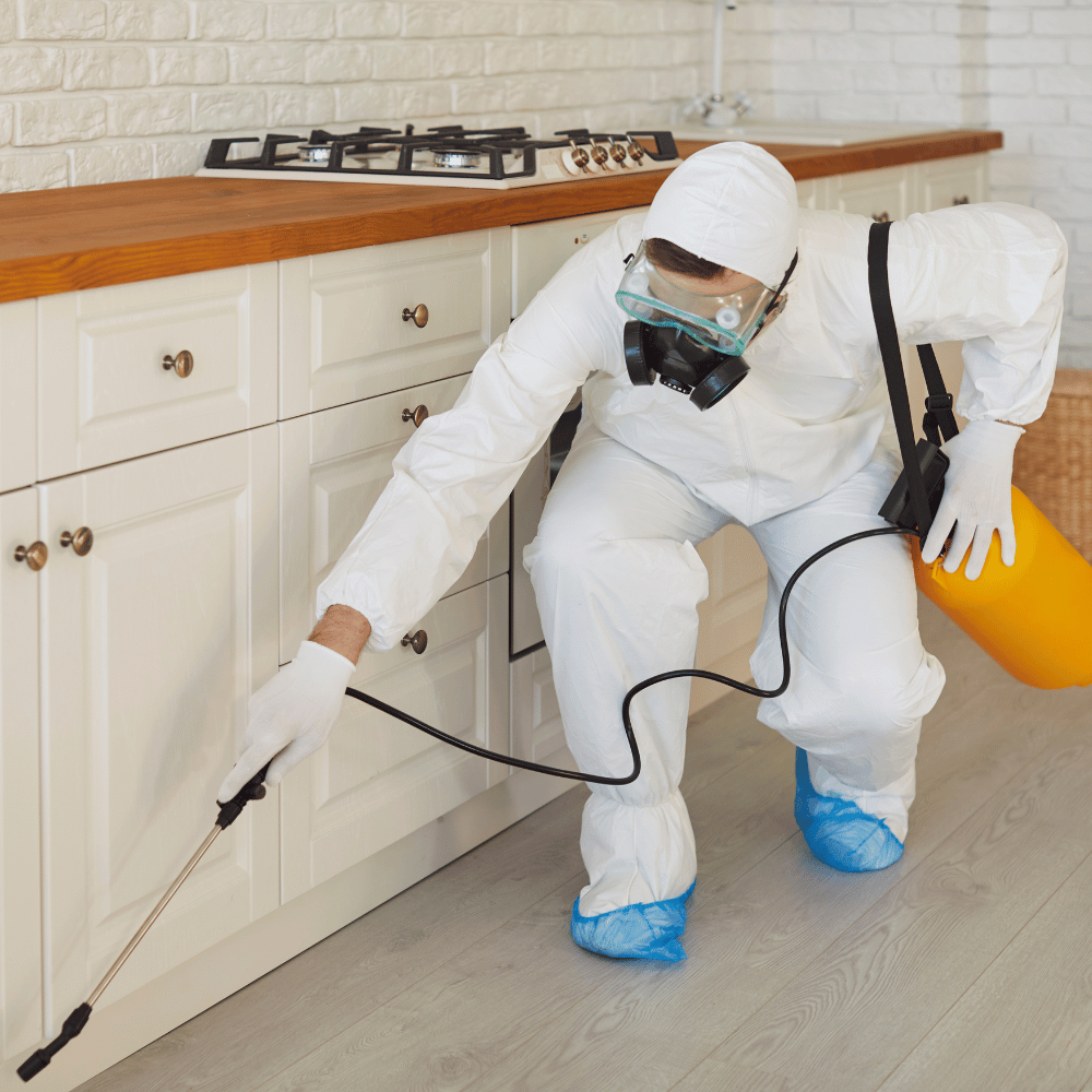 Specjalistyczna dezynfekcja powierzchni po zgonie