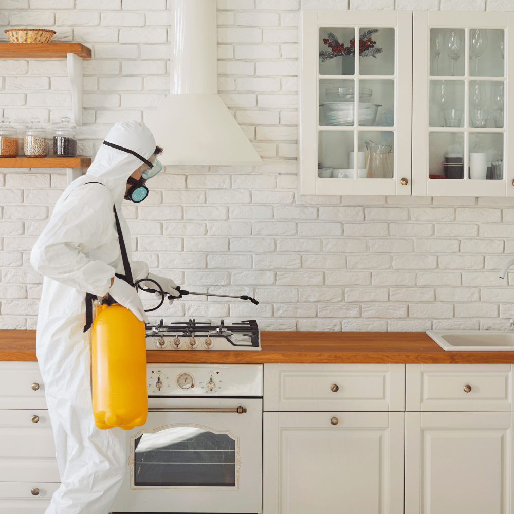 Neutralizacja zapachów po dezynfekcji