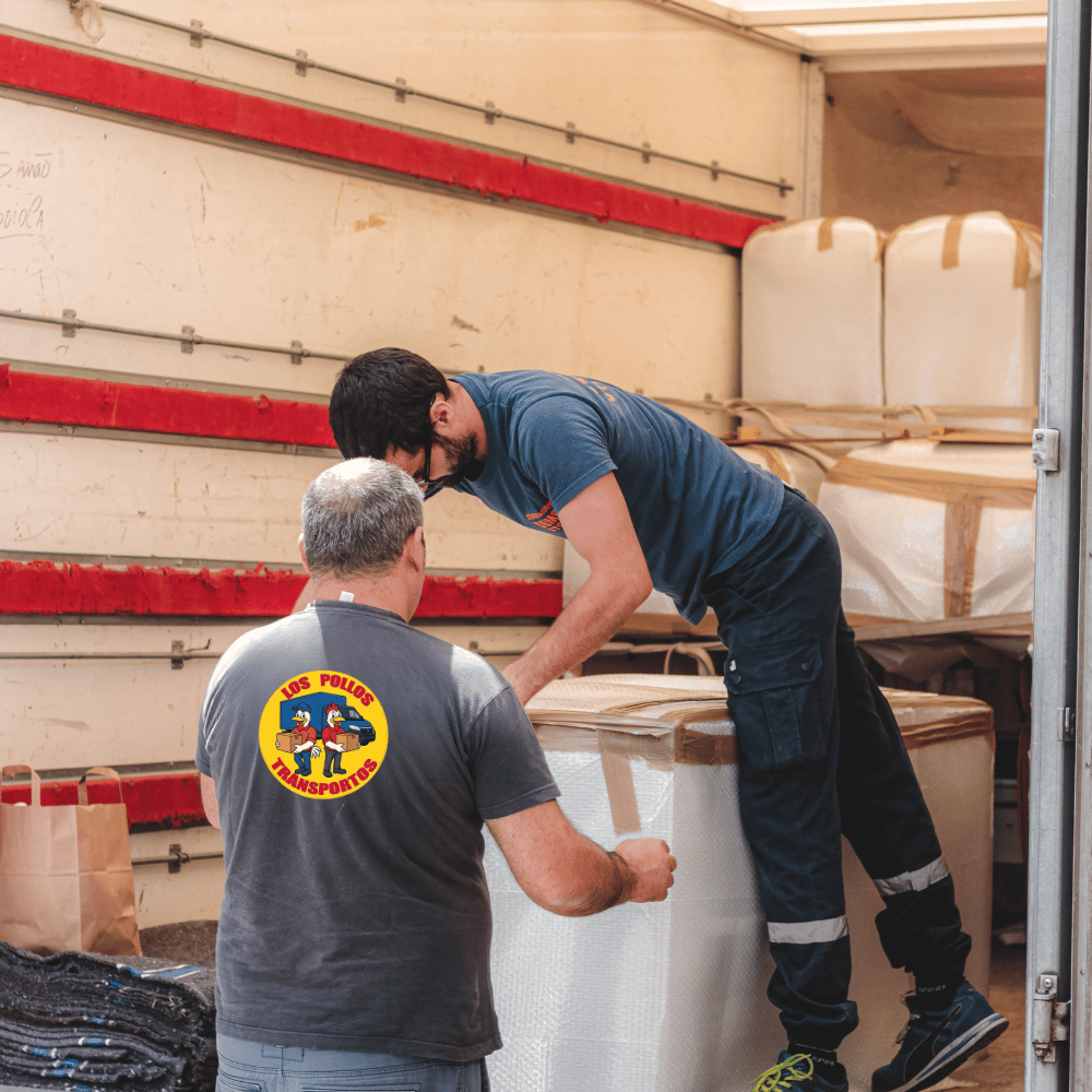 Wnoszenie lodówki i pralki do mieszkania